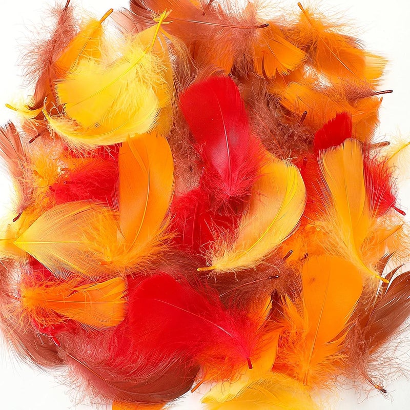 Lyrow Store 800 Pcs Thanksgiving Fall Feathers DIY Craft Color Feathers Dream Catcher Decoration Natural Fluffy Dress up Party Decoration, 2-4 Inches (Bright Color) - Image 1